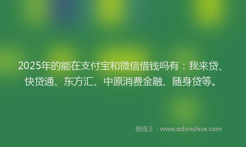 2025年的能在支付宝和微信借钱吗有：我来贷、快贷通、东方汇、中原消费金融、随身贷等。