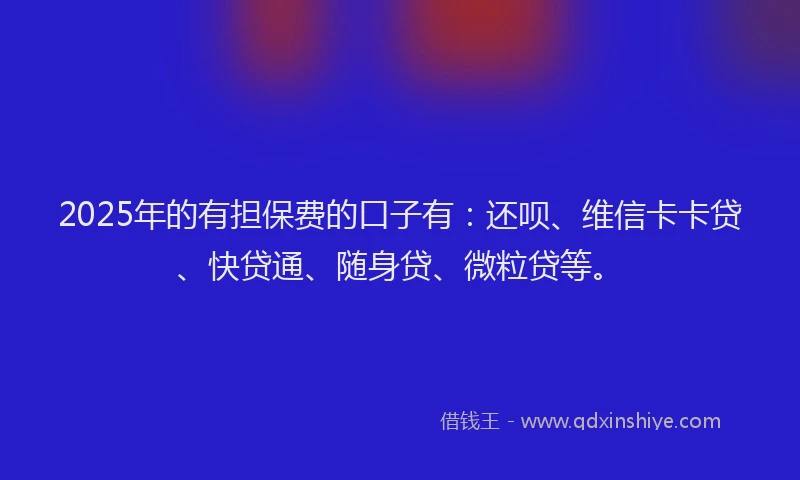 2025年的有担保费的口子有：还呗、维信卡卡贷、快贷通、随身贷、微粒贷等。