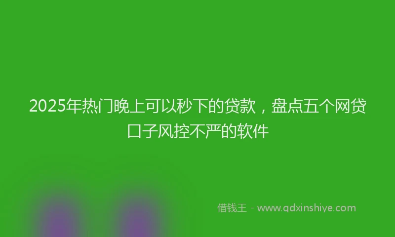 2025年热门晚上可以秒下的贷款，盘点五个网贷口子风控不严的软件