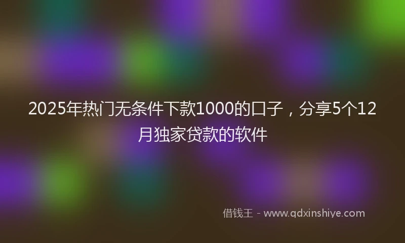 2025年热门无条件下款1000的口子，分享5个12月独家贷款的软件