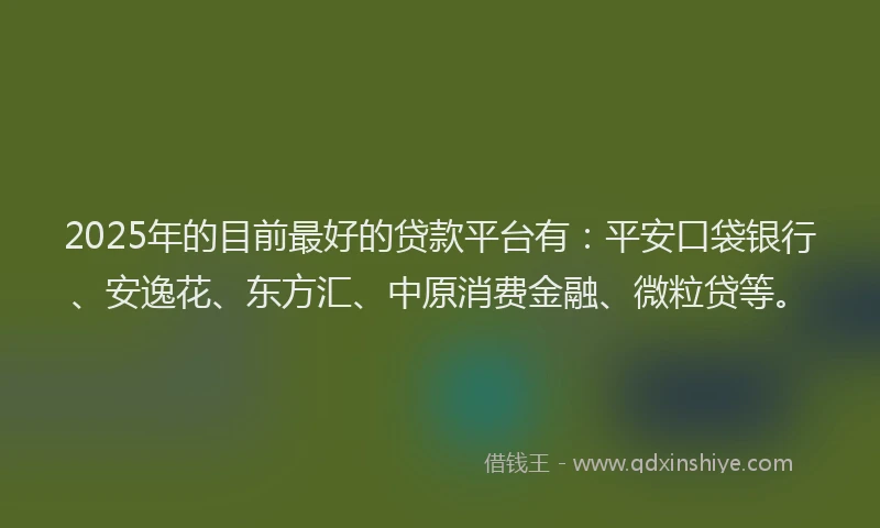 2025年的目前最好的贷款平台有：平安口袋银行、安逸花、东方汇、中原消费金融、微粒贷等。
