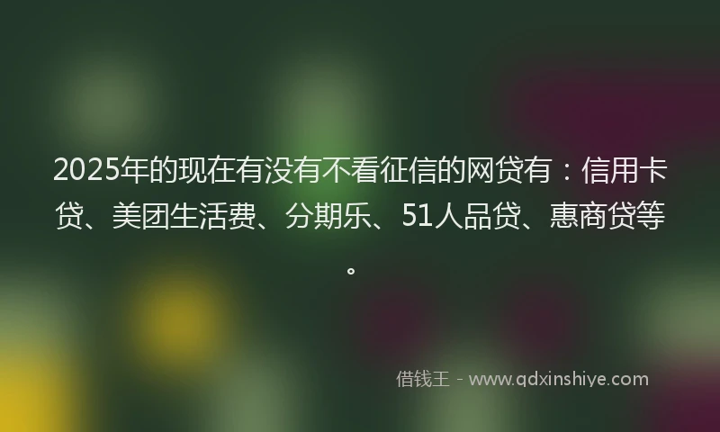 2025年的现在有没有不看征信的网贷有：信用卡贷、美团生活费、分期乐、51人品贷、惠商贷等。