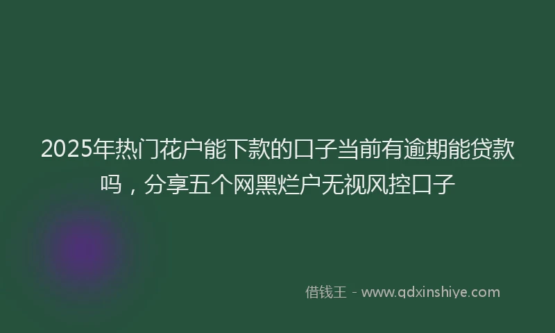 2025年热门花户能下款的口子当前有逾期能贷款吗，分享五个网黑烂户无视风控口子