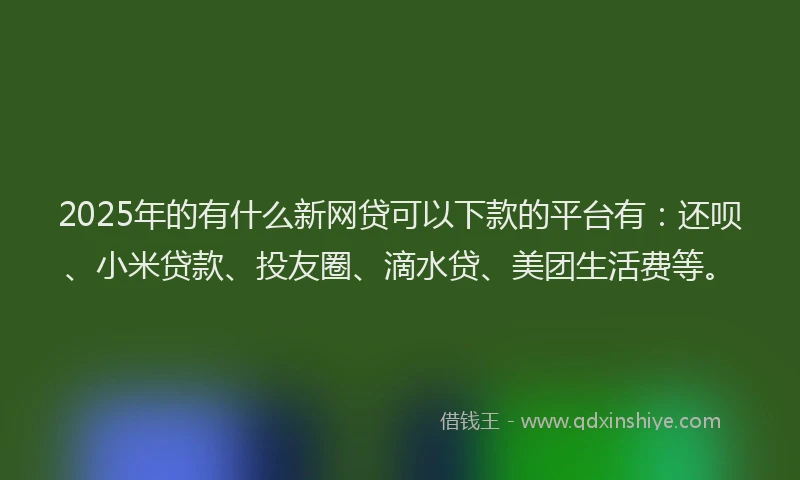 2025年的有什么新网贷可以下款的平台有：还呗、小米贷款、投友圈、滴水贷、美团生活费等。