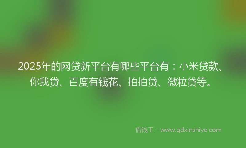 2025年的网贷新平台有哪些平台有：小米贷款、你我贷、百度有钱花、拍拍贷、微粒贷等。