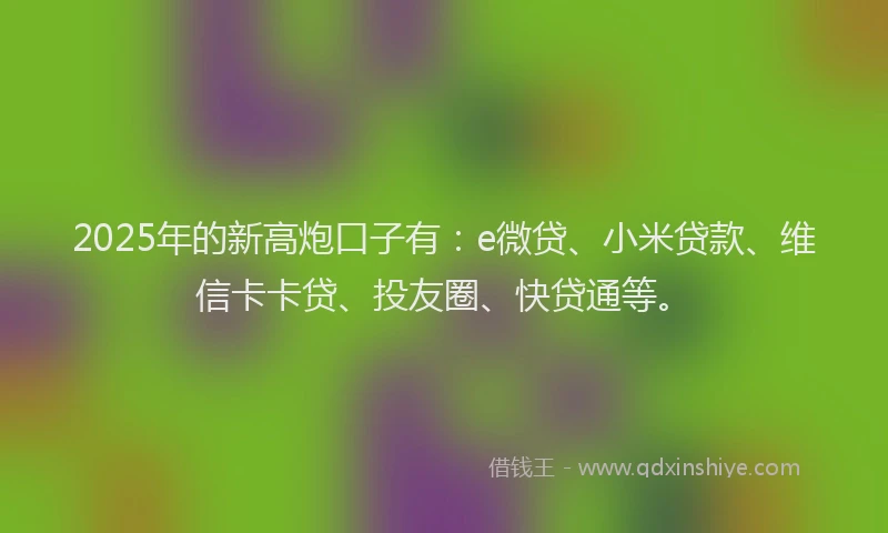 2025年的新高炮口子有：e微贷、小米贷款、维信卡卡贷、投友圈、快贷通等。
