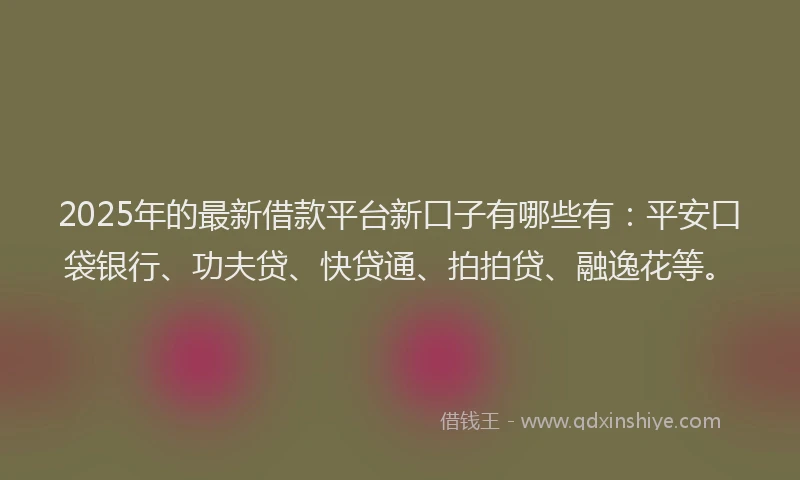 2025年的最新借款平台新口子有哪些有：平安口袋银行、功夫贷、快贷通、拍拍贷、融逸花等。