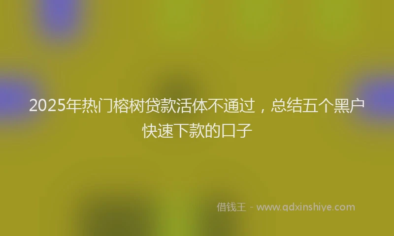 2025年热门榕树贷款活体不通过，总结五个黑户快速下款的口子
