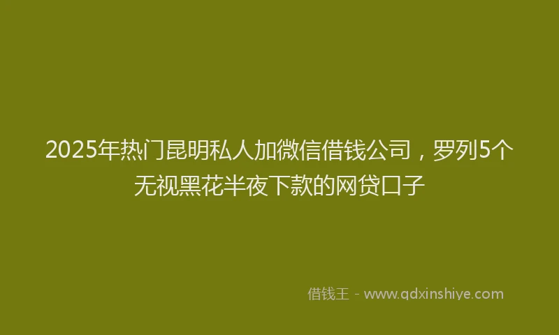 2025年热门昆明私人加微信借钱公司，罗列5个无视黑花半夜下款的网贷口子