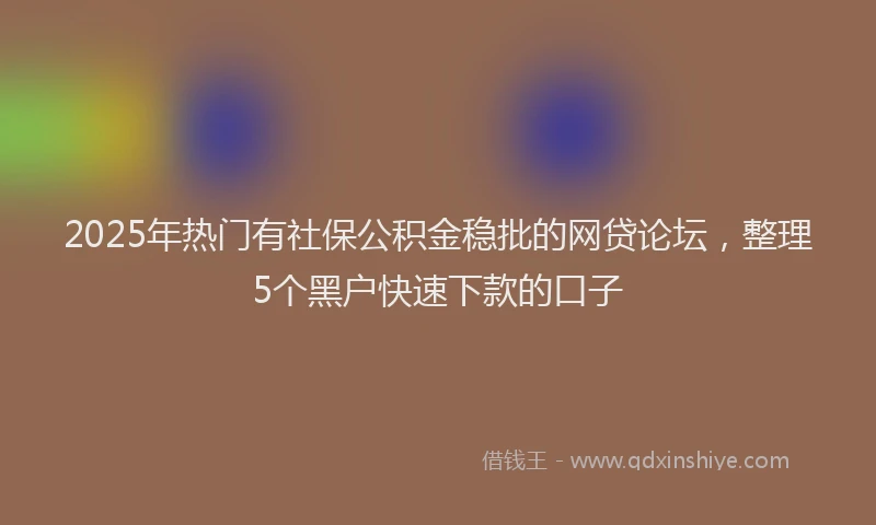 2025年热门有社保公积金稳批的网贷论坛，整理5个黑户快速下款的口子