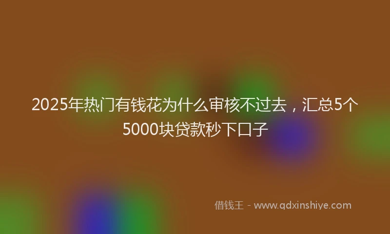 2025年热门有钱花为什么审核不过去，汇总5个5000块贷款秒下口子