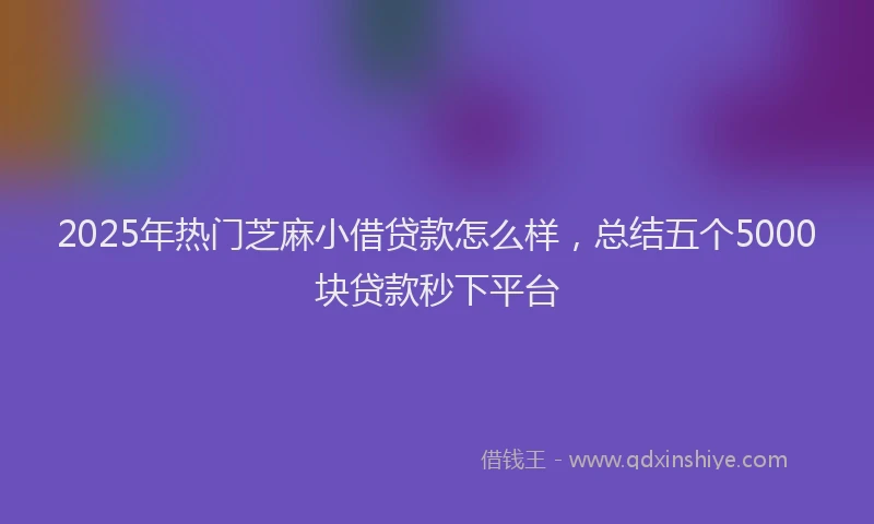 2025年热门芝麻小借贷款怎么样，总结五个5000块贷款秒下平台