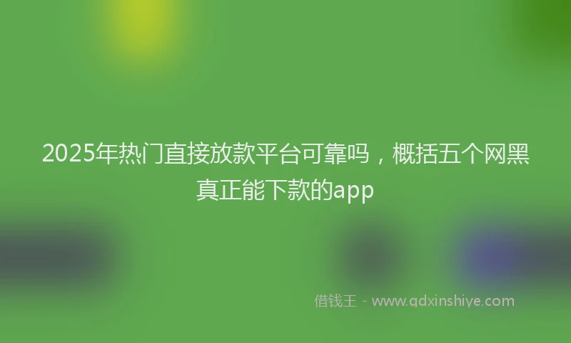 2025年热门直接放款平台可靠吗，概括五个网黑真正能下款的app
