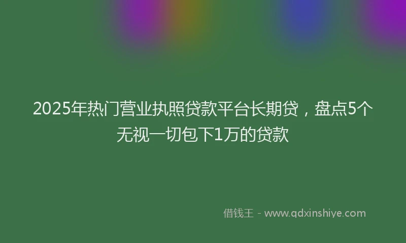 2025年热门营业执照贷款平台长期贷，盘点5个无视一切包下1万的贷款