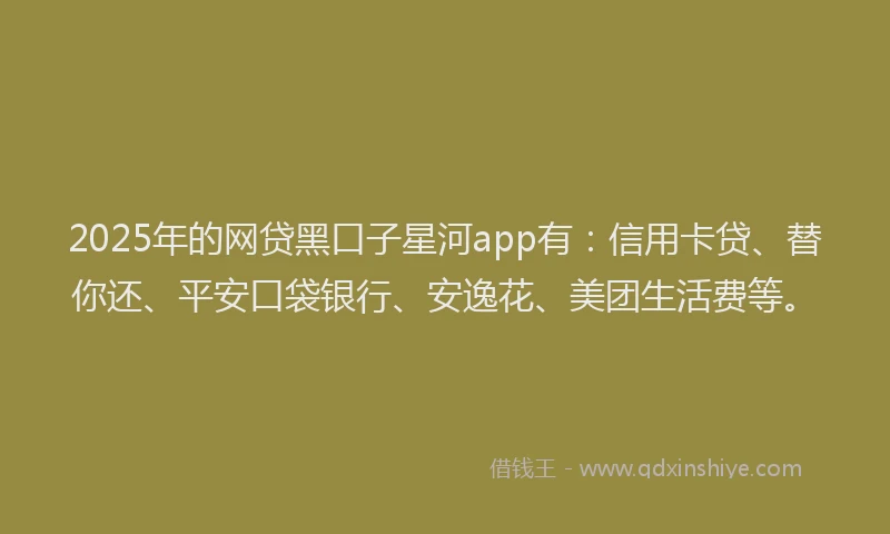 2025年的网贷黑口子星河app有：信用卡贷、替你还、平安口袋银行、安逸花、美团生活费等。
