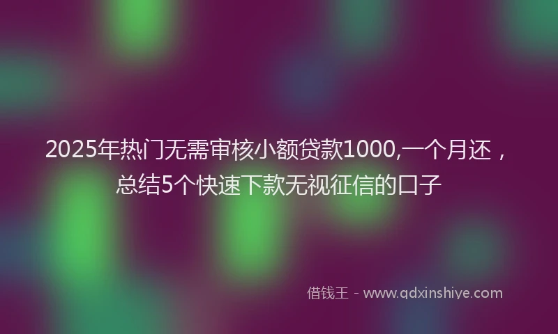 2025年热门无需审核小额贷款1000,一个月还，总结5个快速下款无视征信的口子