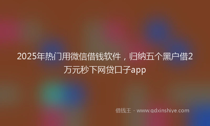 2025年热门用微信借钱软件，归纳五个黑户借2万元秒下网贷口子app