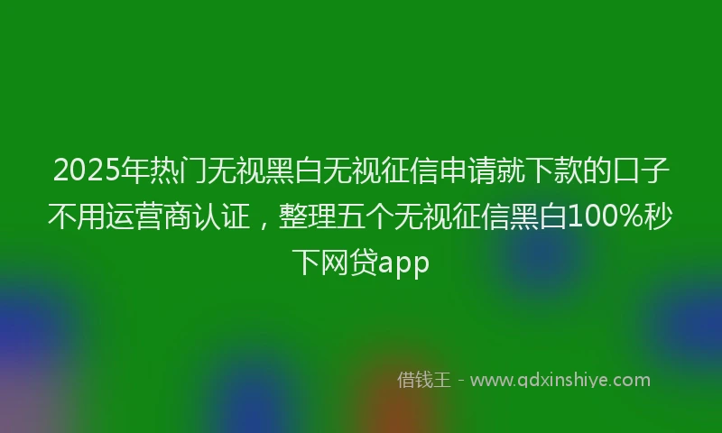 2025年热门无视黑白无视征信申请就下款的口子不用运营商认证，整理五个无视征信黑白100%秒下网贷app