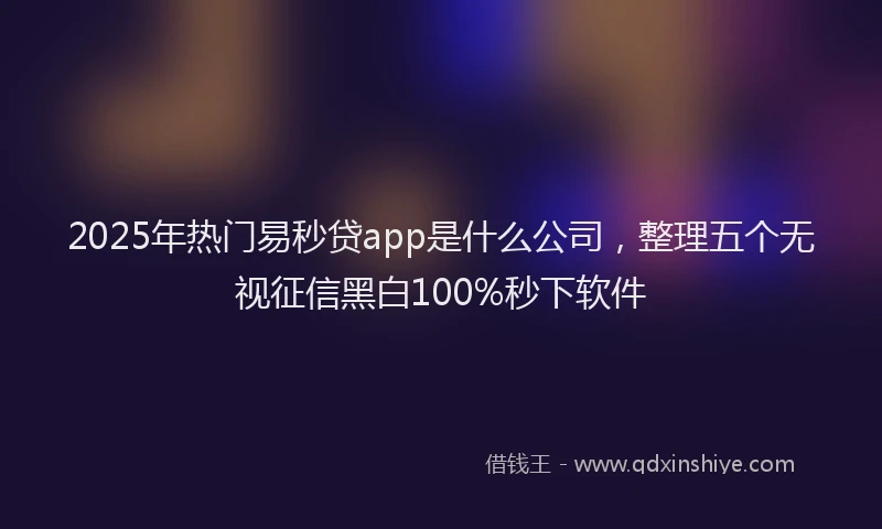 2025年热门易秒贷app是什么公司，整理五个无视征信黑白100%秒下软件
