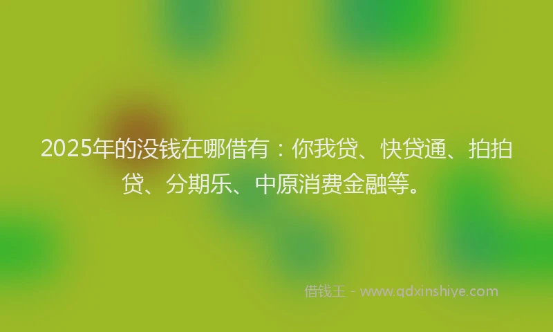 2025年的没钱在哪借有：你我贷、快贷通、拍拍贷、分期乐、中原消费金融等。