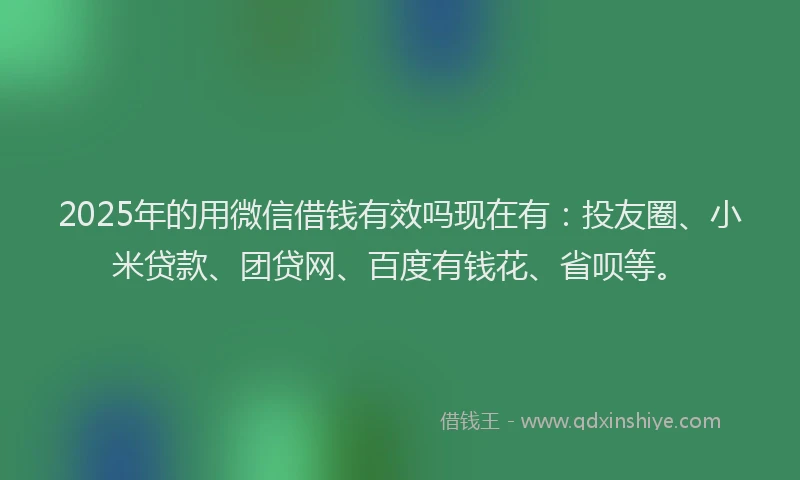 2025年的用微信借钱有效吗现在有：投友圈、小米贷款、团贷网、百度有钱花、省呗等。