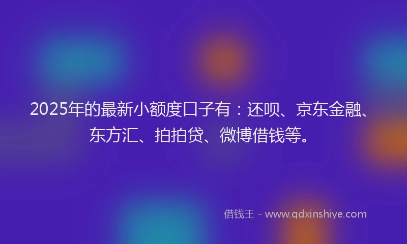 2025年的最新小额度口子有：还呗、京东金融、东方汇、拍拍贷、微博借钱等。