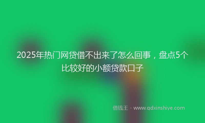 2025年热门网贷借不出来了怎么回事，盘点5个比较好的小额贷款口子