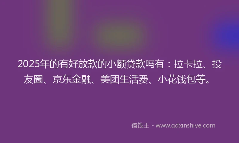 2025年的有好放款的小额贷款吗有：拉卡拉、投友圈、京东金融、美团生活费、小花钱包等。