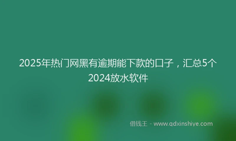 2025年热门网黑有逾期能下款的口子，汇总5个2024放水软件