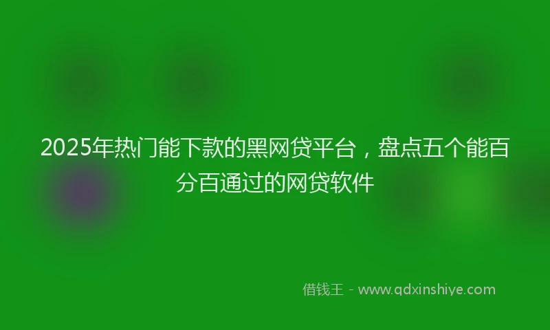2025年热门能下款的黑网贷平台，盘点五个能百分百通过的网贷软件