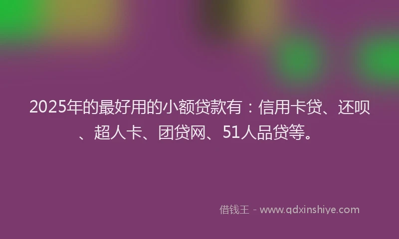 2025年的最好用的小额贷款有：信用卡贷、还呗、超人卡、团贷网、51人品贷等。