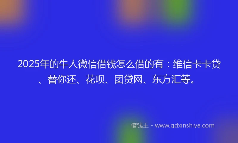 2025年的牛人微信借钱怎么借的有：维信卡卡贷、替你还、花呗、团贷网、东方汇等。