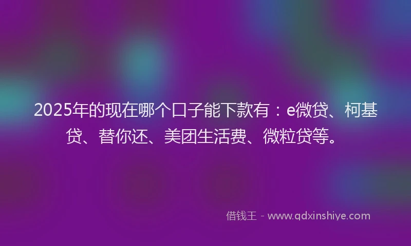 2025年的现在哪个口子能下款有：e微贷、柯基贷、替你还、美团生活费、微粒贷等。
