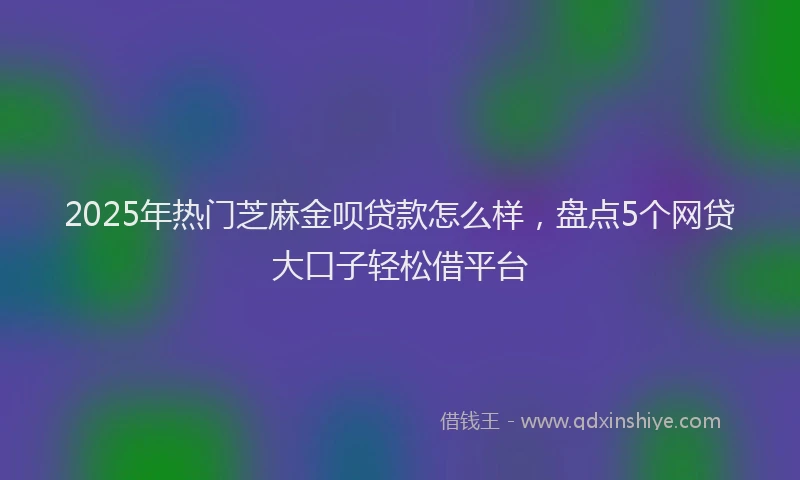 2025年热门芝麻金呗贷款怎么样，盘点5个网贷大口子轻松借平台