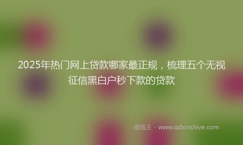 2025年热门网上贷款哪家最正规，梳理五个无视征信黑白户秒下款的贷款