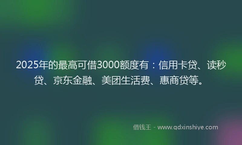 2025年的最高可借3000额度有：信用卡贷、读秒贷、京东金融、美团生活费、惠商贷等。