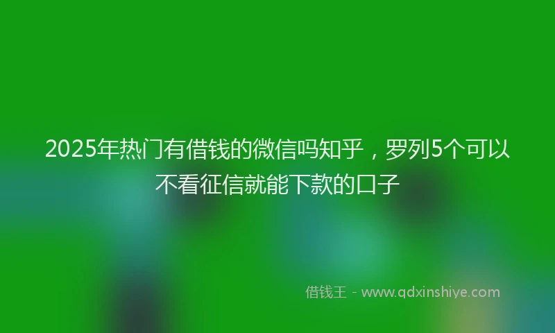 2025年热门有借钱的微信吗知乎，罗列5个可以不看征信就能下款的口子