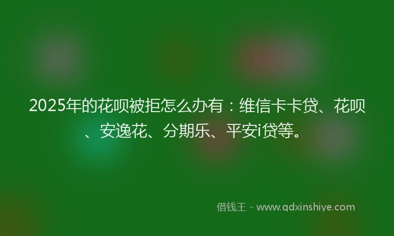 2025年的花呗被拒怎么办有：维信卡卡贷、花呗、安逸花、分期乐、平安i贷等。