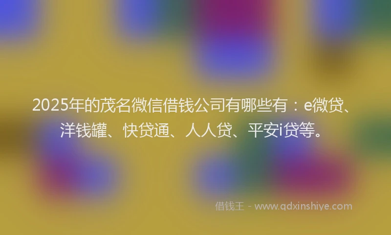 2025年的茂名微信借钱公司有哪些有：e微贷、洋钱罐、快贷通、人人贷、平安i贷等。