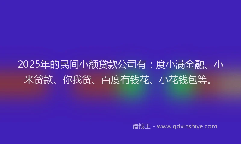 2025年的民间小额贷款公司有：度小满金融、小米贷款、你我贷、百度有钱花、小花钱包等。