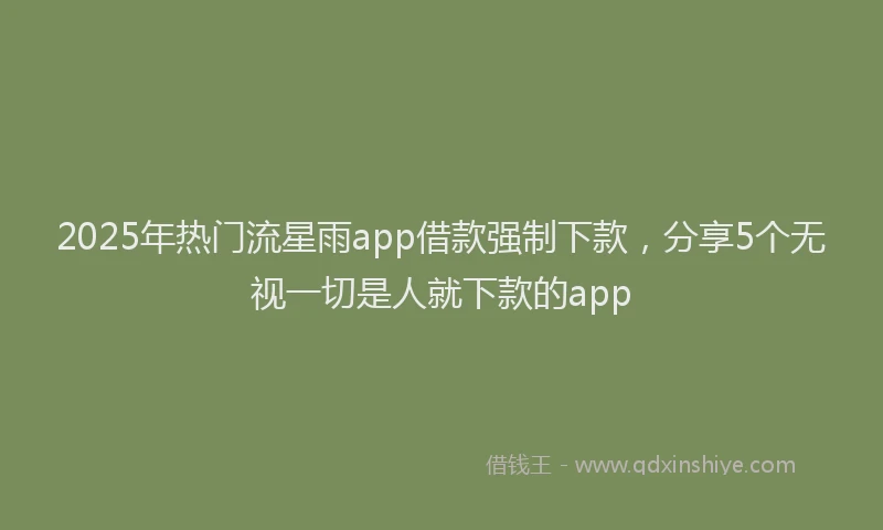 2025年热门流星雨app借款强制下款，分享5个无视一切是人就下款的app