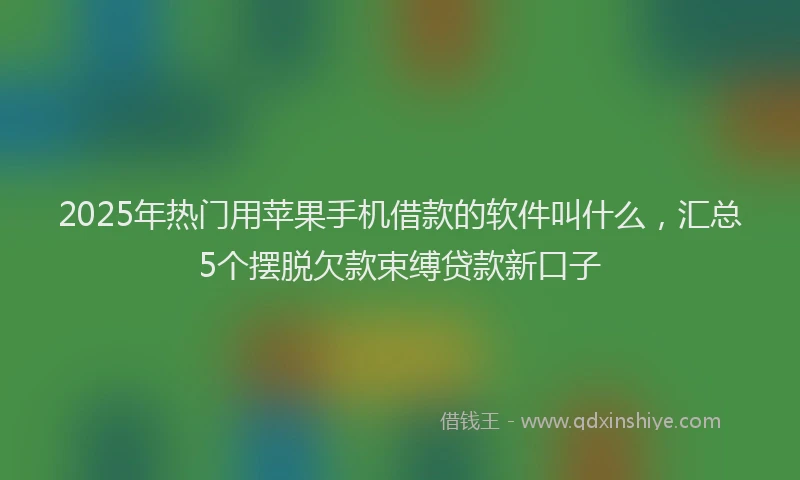 2025年热门用苹果手机借款的软件叫什么，汇总5个摆脱欠款束缚贷款新口子