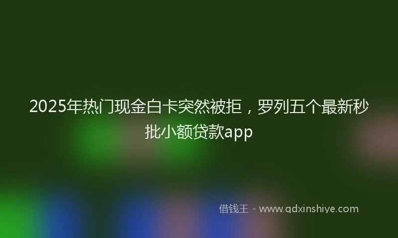 2025年热门现金白卡突然被拒，罗列五个最新秒批小额贷款app