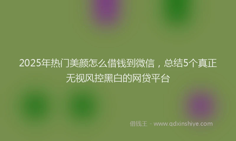 2025年热门美颜怎么借钱到微信，总结5个真正无视风控黑白的网贷平台