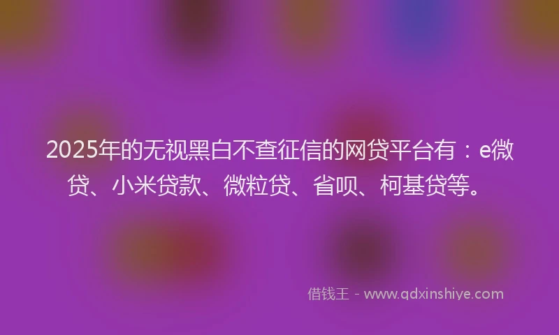 2025年的无视黑白不查征信的网贷平台有：e微贷、小米贷款、微粒贷、省呗、柯基贷等。