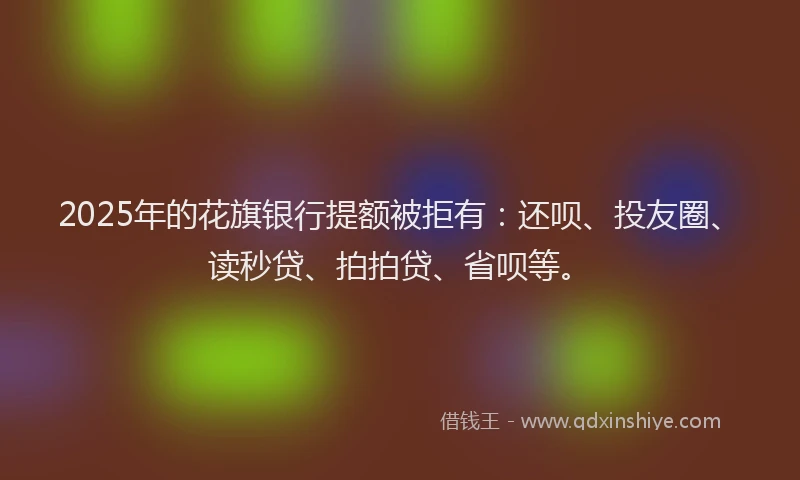2025年的花旗银行提额被拒有：还呗、投友圈、读秒贷、拍拍贷、省呗等。