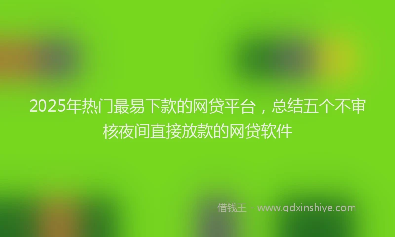 2025年热门最易下款的网贷平台，总结五个不审核夜间直接放款的网贷软件