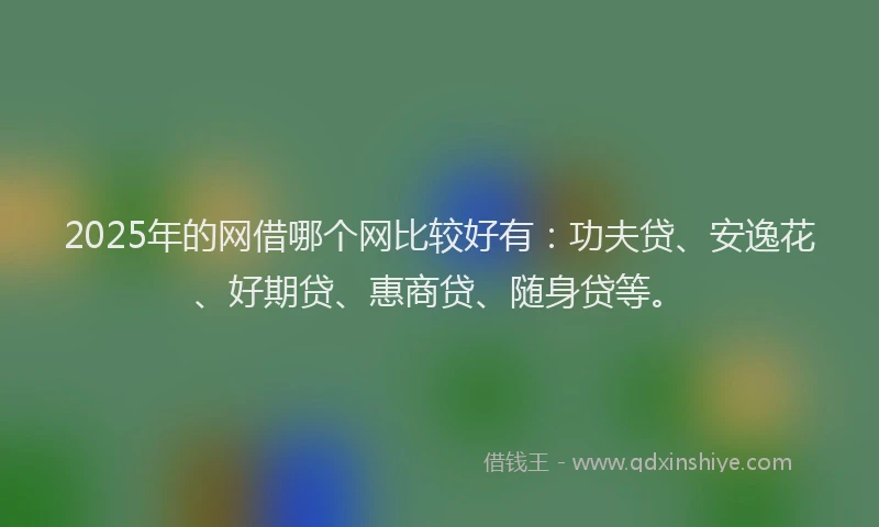 2025年的网借哪个网比较好有：功夫贷、安逸花、好期贷、惠商贷、随身贷等。