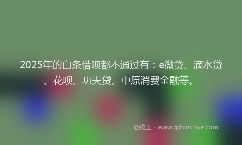 2025年的白条借呗都不通过有：e微贷、滴水贷、花呗、功夫贷、中原消费金融等。