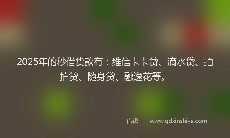 2025年的秒借货款有：维信卡卡贷、滴水贷、拍拍贷、随身贷、融逸花等。